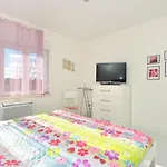 Apartment Ginestra- Central Cosy